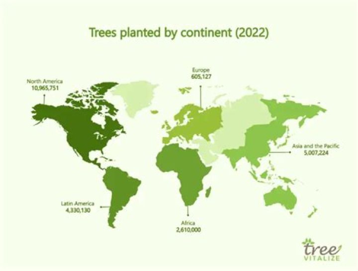 How Many Trees Are Planted Each Year