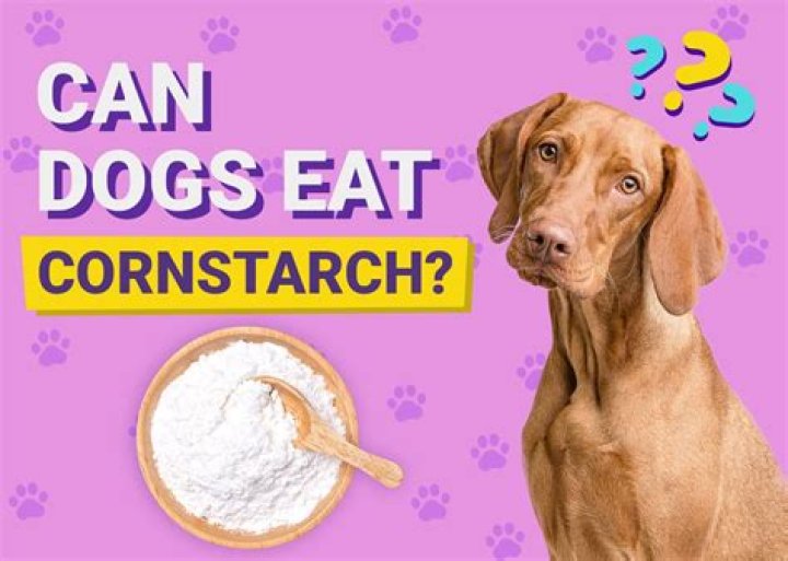 Is Cornstarch Safe For Dogs